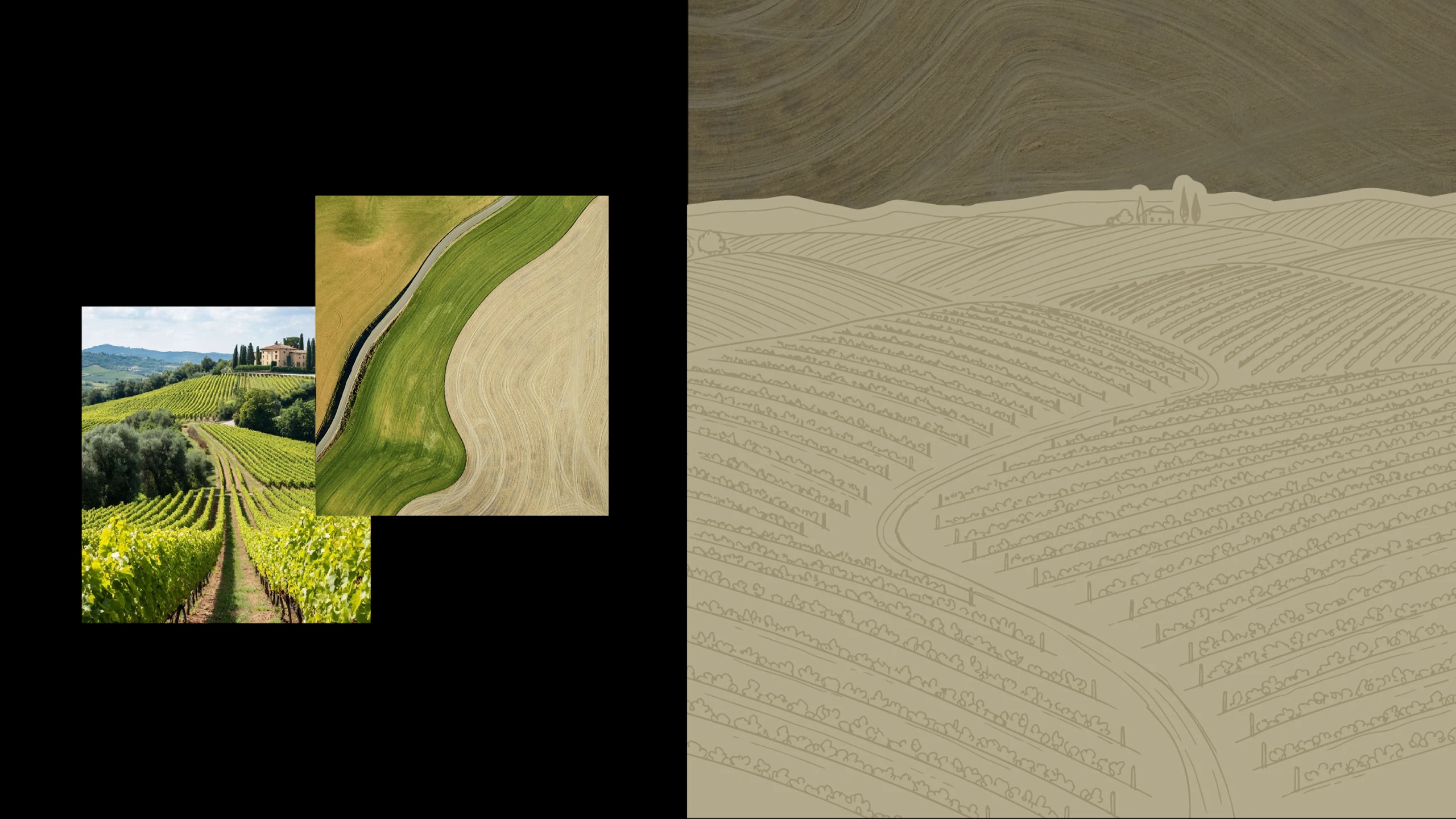 Selva project image 06