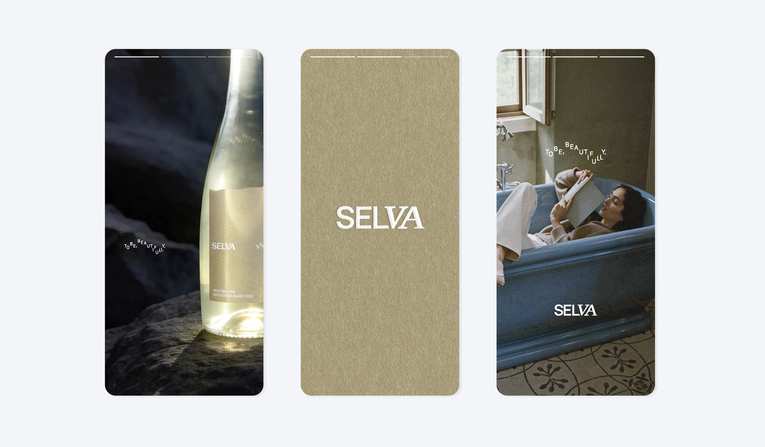 Selva project image 12